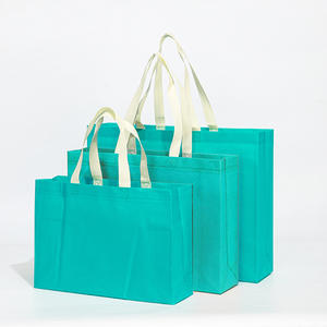 Bolsa de Compras Personalizada de Alta Calidad, No Tejida, Ecológica, con Diseño de Puntos, Logotipo Impreso, Reciclable y Plegable - Product Image 2