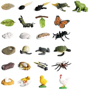 Educational kids gift cock locust earthworm snail growth cycle toys model simulation baby life cycle toys animal figurines