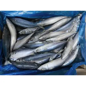 سمك الماكريل المجمد لتوريد كميات كبيرة سمك الماكريل المجمد 300 500 غ 100 200 غ سمك الماكريل المجمد من المحيط الهادئ