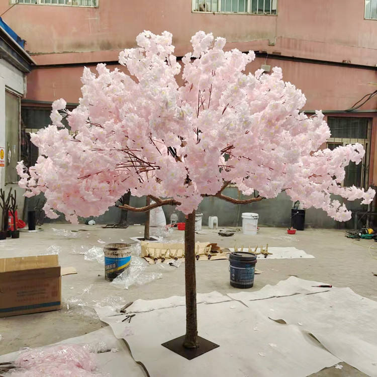 6FT ต้นซากุระ