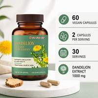 Capsules de pissenlit à haute puissance - Complément alimentaire antioxydant naturel pour la santé cellulaire, le stress oxydatif, approvisionnement en vrac