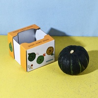 Boîte d'emballage en carton ondulé pliable personnalisée pour fruits et légumes, certifiée FSC ISO22000 RoHS, pour citrouilles