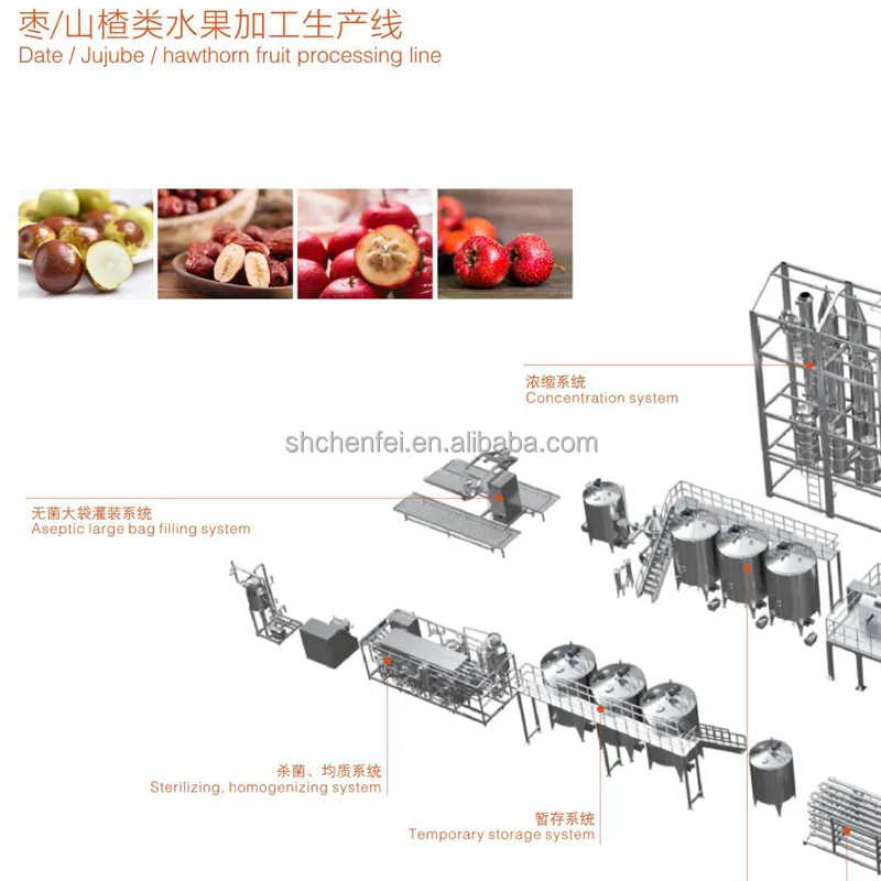स्वचालित सूखी तारीख ताजा तारीख रस लाल जूजूबे मौखिक तरल प्रसंस्करण मशीनरी प्रसंस्करण लाइन