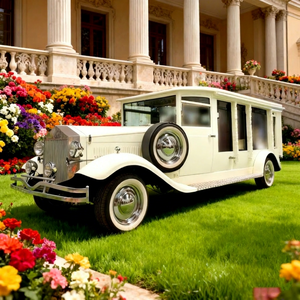 Cercueil électrique personnalisé Zhenda, style anglais, tout-terrain, moderne et luxueux - Product Image 1