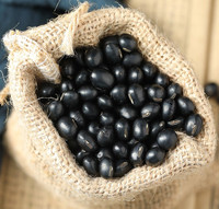 Meilleure vente Haricots noirs de qualité supérieure Graines de soja noir de Chine à vendre