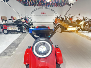 Tricycle à moteur pour adultes à trois roues de Chine, pour usage passagers et marchandises, batterie non incluse SAN LUN CHE 1 Tri - Product Image 4