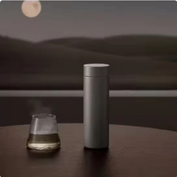 Gourde isotherme légère en titane avec filtre à thé, isolation thermique de 6 à 12 heures, tasse cadeau pour le camping en plein air