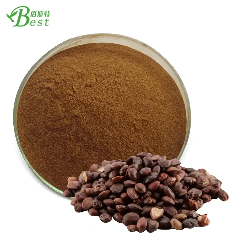 Semen Zizyphi Spinosae/Spina Date Seed/Wild Jujube Extract