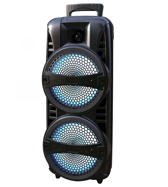 Wireless BT Portable Karaoke Big BT Speaker