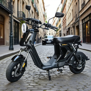 Dsy U1 1000W Tốc Độ Cao Đua Xe Thể Thao Điện Xe Dành Cho Người Lớn Xe Máy Lai Xe Đạp Pin Lithium Khung Thép Cho Nhập Khẩu Xuất Khẩu - Product Image 1