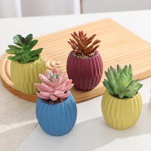 Planta Verde Suculenta em Vaso Pequeno de Alta Qualidade para Decoração de Mesa com Flor Artificial de Cacto Pronta para Escritório - Product Image 6