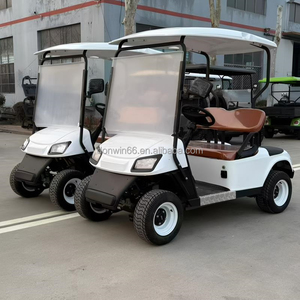 Voiturette de golf tout-terrain 2 places de haute qualité avec batterie au lithium et auvent de pluie, idéale pour le golf - Product Image 2