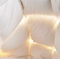 Couette en duvet de plumes d'oie 100% coton King Size 750 Fill Power Chaleur moyenne Insert de couette toutes saisons