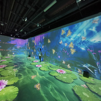 Projecteur de logiciel interactif pc et pc, publicité de sol, projection murale, meilleur fournisseur