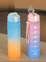 Bouteille de sport et de camping en plastique PC sans BPA de 25 oz avec logo personnalisé, écologique, hermétique, idéale pour l'eau bouillante