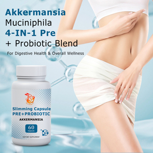 Factory Direct Slimming Capsules with Akkermansia Probiotic Prebiotic <b>Blend</b> Support Digestive Health Balance Gut Flora Capsules - Product Image 4