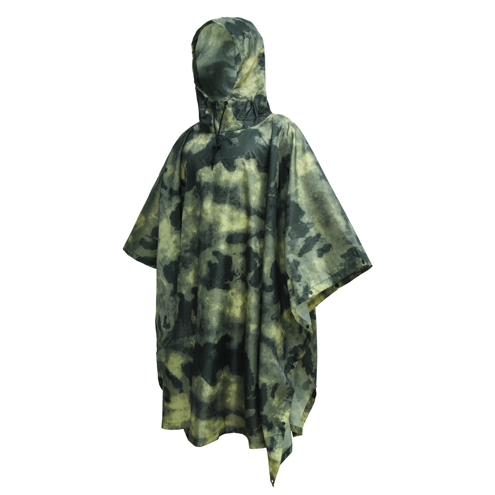 Jungle ruins