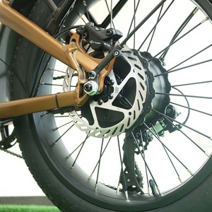 Bicicleta Plegable de 20 Pulgadas con Motor de 500W, Batería de 48V, Cuadro Ligero de Aluminio para Desplazamientos Diarios ZZP-A181 - Product Image 1