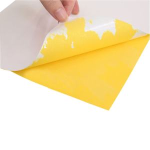 Papel adhesivo recubierto fundido 70*100, hoja de papel Adhes semibrillante, papel adhesivo cromado autoadhesivo de doble capa, papel adhesivo para arte - Product Image 1