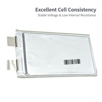 Cellule LiFePO4 en pochette à décharge stable et longue durée de vie, pour l'assemblage de batteries de drones