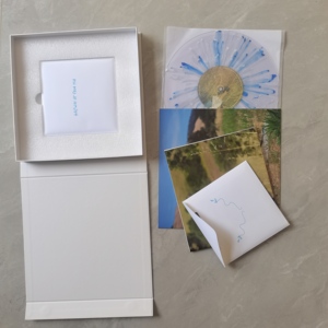 Ensemble complet d'emballage pour disques vinyles personnalisés : boîte cadeau, cartes, enveloppes, étiquettes, réplication de disques, transparent/colore uni, impression 24 min - Product Image 1