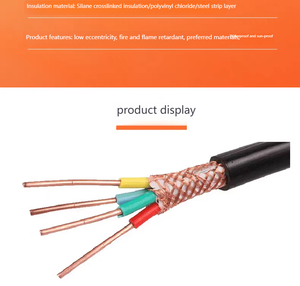 Đồng nguyên chất kvvr kvvp rvvp đa lõi cáp điều khiển 30A điện áp thấp cho hệ thống tự động hóa công nghiệp máy tính trên không PVC - Product Image 6