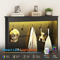 Armoire à chaussures noire de ferme avec 2 tiroirs à chaussures rabattables et armoire de rangement à chaussures multifonctionnelle à lumière LED pour entrée