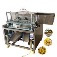 Machine commerciale de dénoyautage de dattes rouges, d'olives et de jujubes