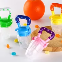 Baby Fresh Food Feeder, Infant Fruit Teething Toy