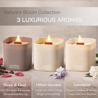 Ensemble de diffuseurs de parfum d'ambiance de luxe personnalisés en 3 pièces, en cire de soja écologique, avec logo personnalisé, idéal pour les fêtes