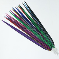 Plumes Longues de Faisan Lady Amherst Artificielles Teintes en Gros pour Décorations de Carnaval, Festival et Samba