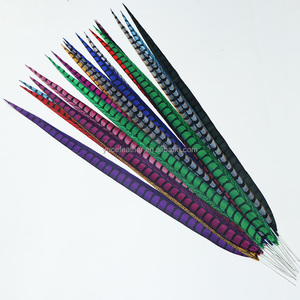 Wholesale Dyed Artificial Lady Amherst Pheasant Long Feathers for Carnival Costume <strong>Festival</strong> Samba <strong>Decorations</strong> - Product Image 6
