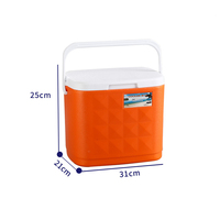 Glacière portable moderne 10L/20L en orange Nouvelle tendance pour les médicaments à insuline et le stockage des aliments pour le camping