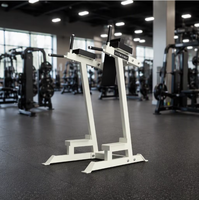 Station de dips verticale Alpha en acier inoxydable pour musculation à domicile, équipement de gym commercial en gros avec logo personnalisé