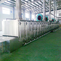 Senven Automatische Doorlopende Mesh Band Droger Machine Energiebesparing Voor Groenten Fruit Motor Gemaakt Ti Sus316l Voedselverwerking