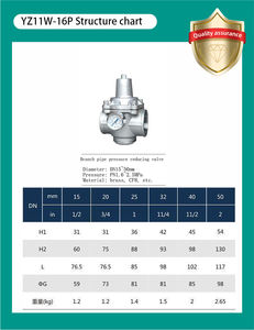 Ayarlanabilir CF8/CF8M paslanmaz çelik 304/316 BSP NPT basınç kontrol vanası manuel su basıncı azaltıcı ve düzenleme valfi - Product Image 4