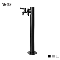 Robinet d'arrosage extérieur double face en cuivre pour jardin, tuyau d'eau antigel en acier inoxydable pour cour de villa