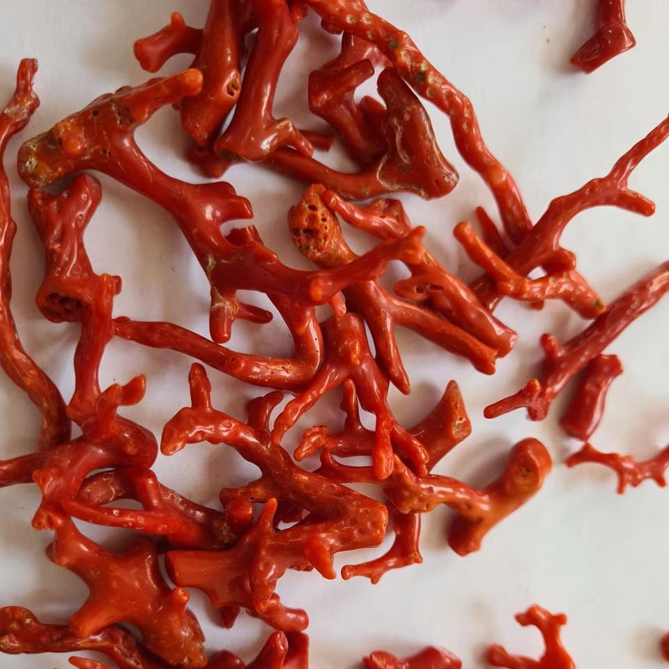 Red Coral Rough Natural Gemstone for Jewelry Making