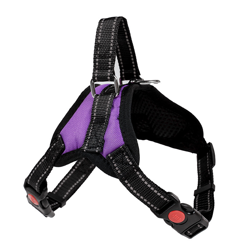 Purple large dog harness