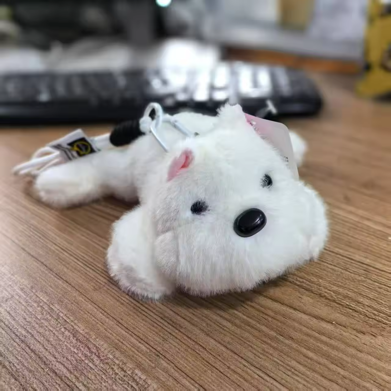 chien