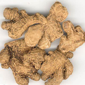 Certified Organic Chinese Mature Super Spring Fresh <strong>Ginger</strong> Root GAP-Certified Food Plant Used <strong>Dry</strong> <strong>Ginger</strong> <strong>for</strong> Culinary Use - Product Image 3