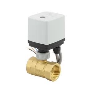 ODM4V AC220 Controller With Brassball Valveo-way Ball Valve Water Media Electric ODM Home Kitchen Passiac110v AC220V Ac230vor