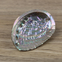 9-13cm pas cher coquille d'ormeau décor à la maison coquillage plage mariage océan décor bijoux bricolage porte-savon Aquarium paysage