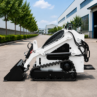 Minipala Compatta con Capacità di 300kg, Accessori Personalizzabili OEM, Motore Diesel Euro 5 EPA, Garanzia di 2 Anni