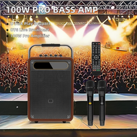 Amplificador de Bajos Profesional de 100W, Altavoz para Guitarra con Soporte para Tarjeta de Memoria Inalámbrica, Caja de Sonido Portátil para Escenario y Karaoke KTV