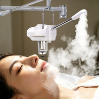 Vaporisateur facial ionique mural à bras articulé réglable, brume chaude, atomiseur facial ionique professionnel pour salon de beauté et spa, hydratation du visage
