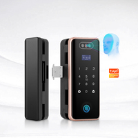 Serrure de reconnaissance de visage TUYA WIFI de vente chaude Eseye avec caméra TT serrure APP carte d'empreintes digitales serrure de porte en verre de bureau numérique