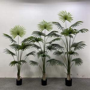 Gran oferta 90-240CM Paradise Palm Ornamental pequeña planta en maceta grande <span class=keywords><strong>plantas</strong></span> de palmera <span class=keywords><strong>artificiales</strong></span> decoración del hogar al aire libre - Product Image 2