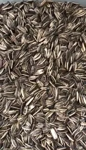 Selezionatrice di semi di girasole selezionatrice di colori di semi di girasole per semi di guscio di semi in bianco e nero