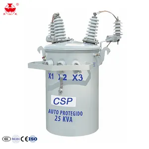 Factory Supply Low Loss 25KVA 13.8KV Conventional Type Single-Phase Pole Mounted Distribution Transformer